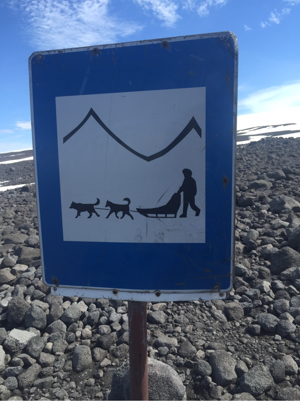 dogsledding Iceland